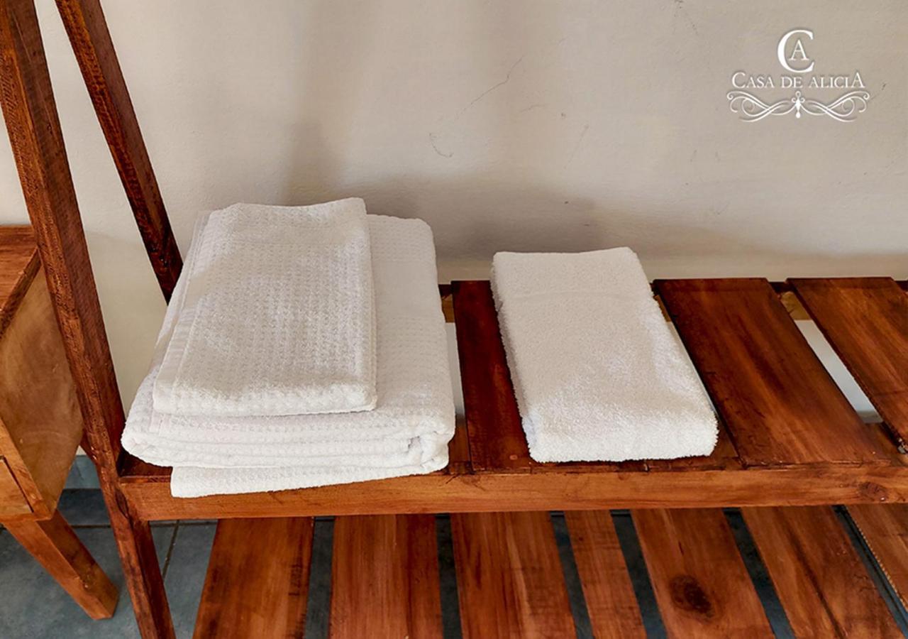 Casa De Alicia Habitacion Monte Alban Διαμέρισμα Oaxaca Εξωτερικό φωτογραφία